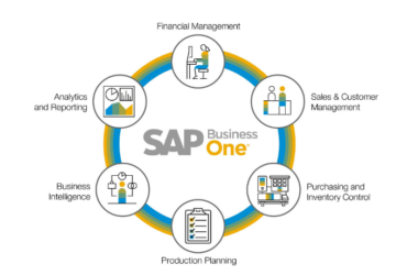 SAP Business One for Inventory Management