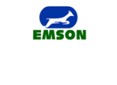 EMSON GEARS LIMITED