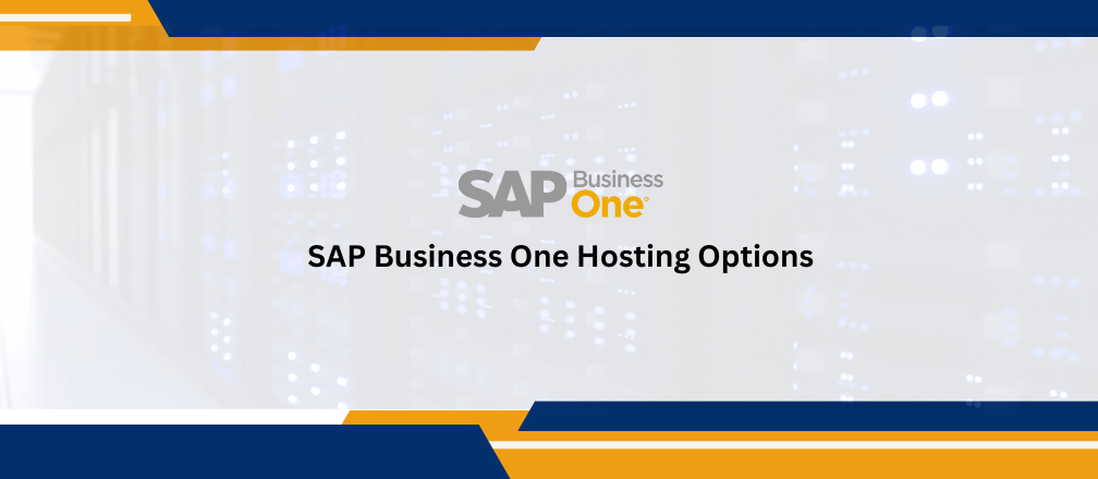 SAP Business One Hosting Options | CBS