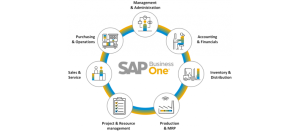 SAP Business One: Meaning, Modules and Features - Cogniscient